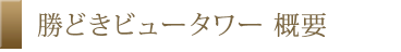 勝どきビュータワー 概要