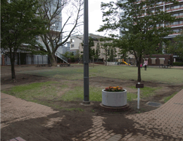 芝浦アイランド　公園