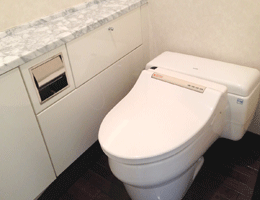 品川Vタワー タワー棟 WC