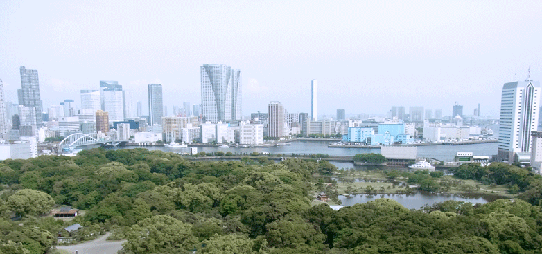 東京ツインパークス レフトウイング 眺望例